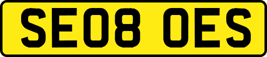 SE08OES