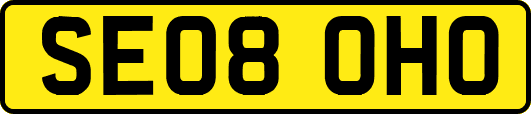 SE08OHO