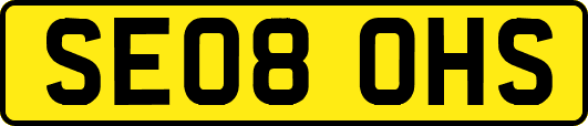 SE08OHS