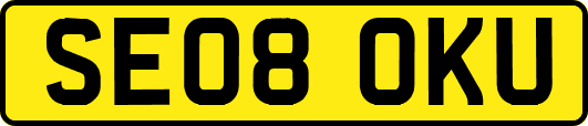 SE08OKU