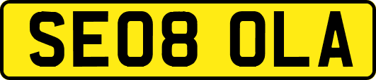 SE08OLA