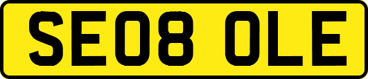 SE08OLE