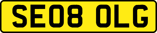 SE08OLG