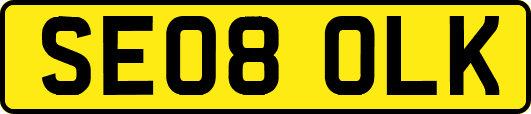 SE08OLK