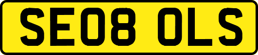 SE08OLS
