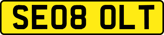 SE08OLT