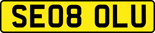 SE08OLU