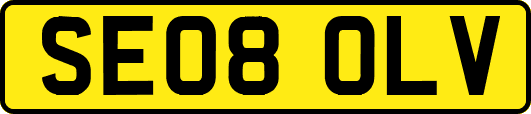SE08OLV