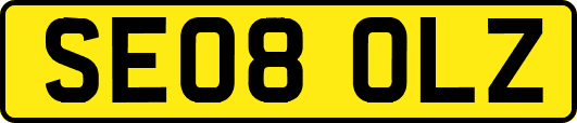 SE08OLZ