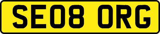 SE08ORG