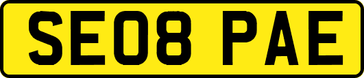 SE08PAE
