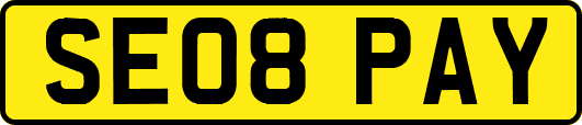 SE08PAY