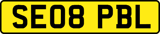 SE08PBL