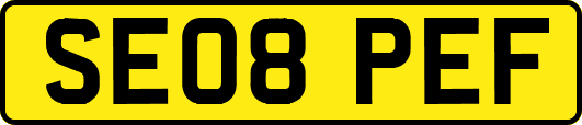 SE08PEF