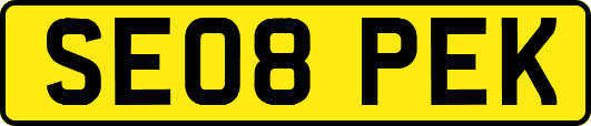 SE08PEK