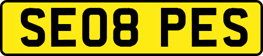 SE08PES