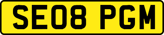 SE08PGM