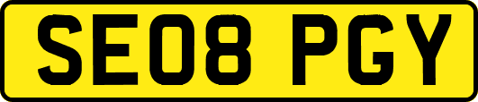 SE08PGY
