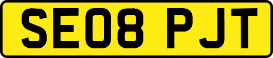 SE08PJT
