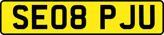 SE08PJU