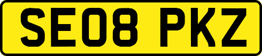 SE08PKZ