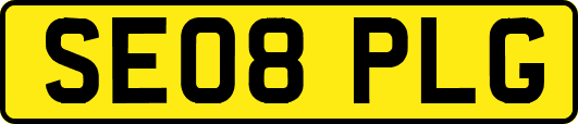 SE08PLG