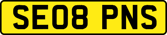 SE08PNS