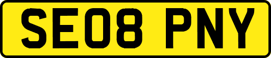 SE08PNY