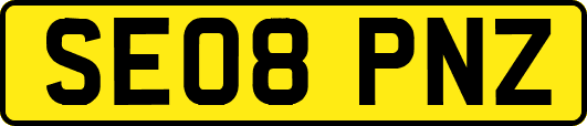 SE08PNZ