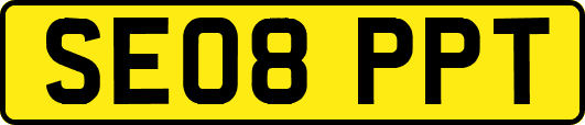SE08PPT