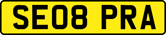SE08PRA