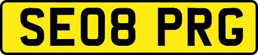 SE08PRG