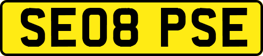SE08PSE
