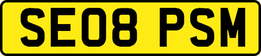 SE08PSM