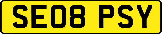 SE08PSY
