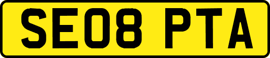SE08PTA