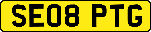 SE08PTG