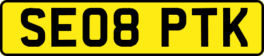 SE08PTK