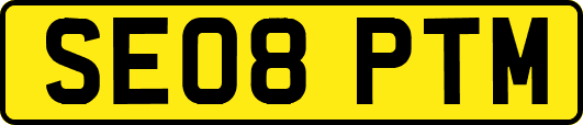 SE08PTM