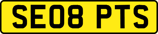 SE08PTS