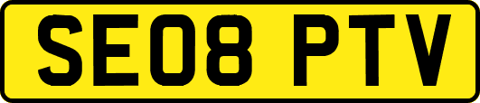 SE08PTV