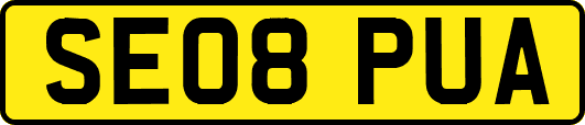 SE08PUA