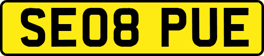 SE08PUE