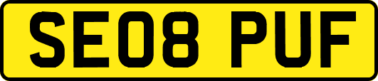 SE08PUF