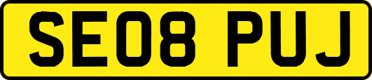 SE08PUJ
