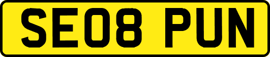 SE08PUN