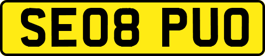 SE08PUO