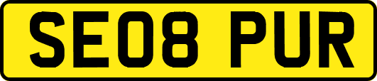 SE08PUR