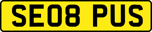 SE08PUS