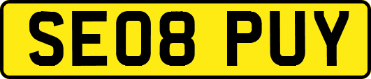 SE08PUY
